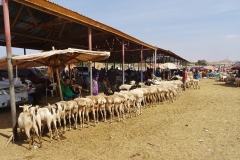 Livestock market