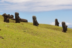 Moai Dreaming