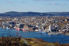 View of St John's